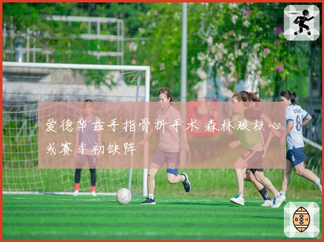 爱德华兹手指骨折手术 森林狼核心或赛季初缺阵