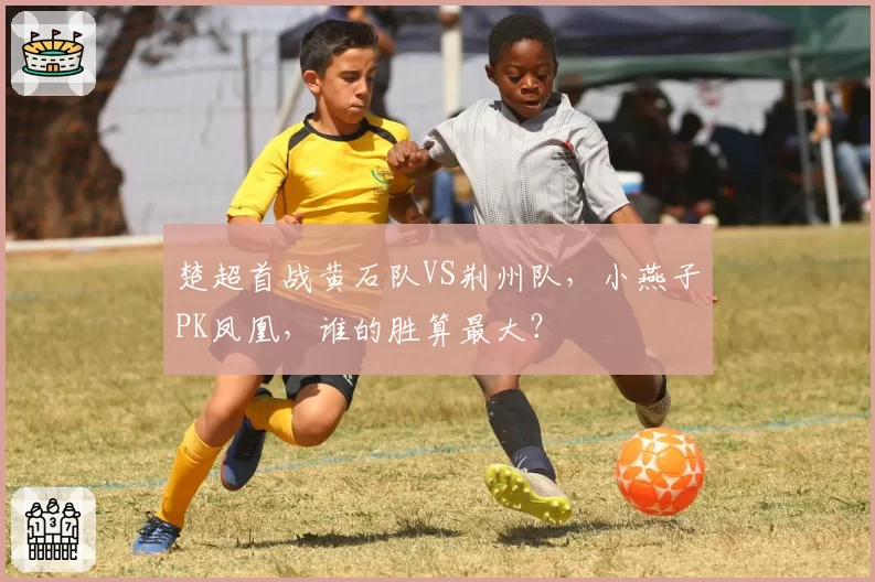 楚超首战黄石队VS荆州队,小燕子PK凤凰,谁的胜算最大?
